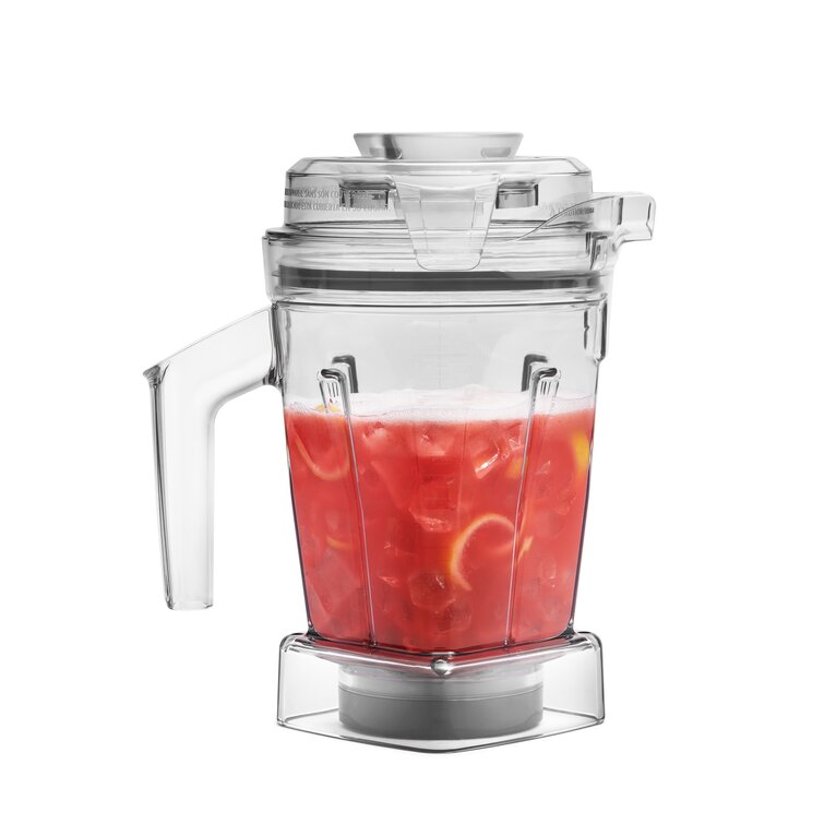 Newest Vitamix Are Disc container